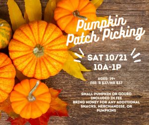 Pumpkin Patch Picking @ meet at HISRA
