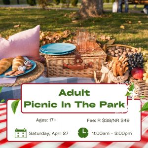 Adult Picnic in the Park